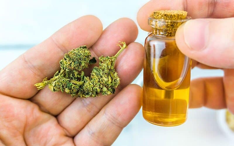CBD and the Legal Situation