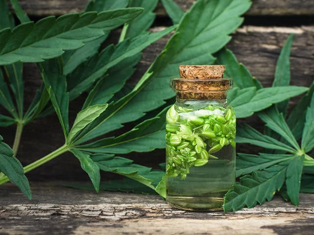 How CBD Can Benefit Seniors